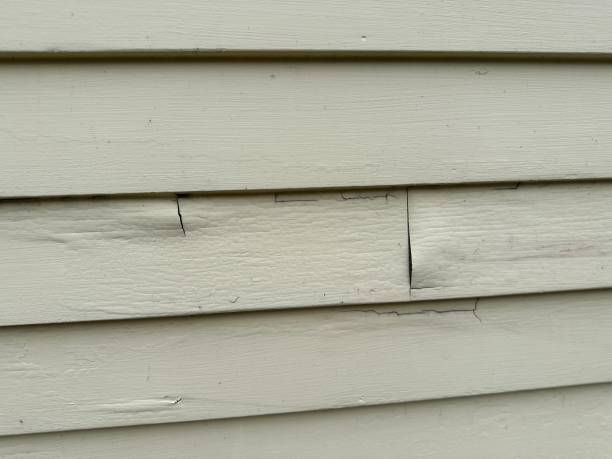 How To Choose The Right Materials for Your Siding Installation in 'Butler, MO